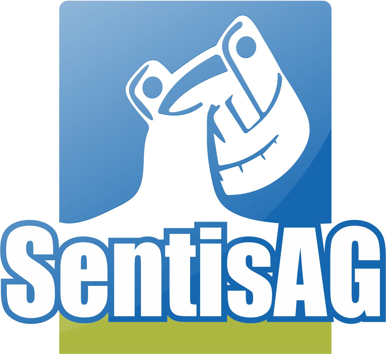 www.sentisag.com